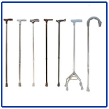 walking sticks