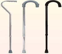 walking stick